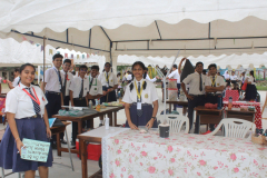 IMG-20241021-WA0033